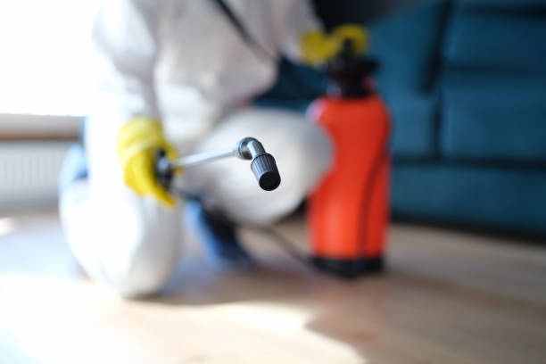 Mold Remediation for Vacation Homes in Sierra View, PA