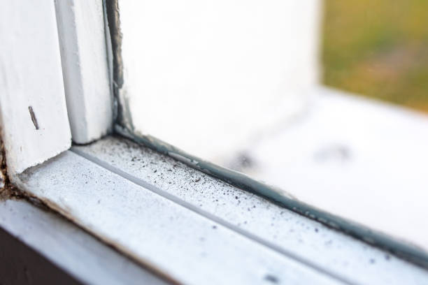 Best Mold Remediation for Healthcare Facilities  in Sierra View, PA